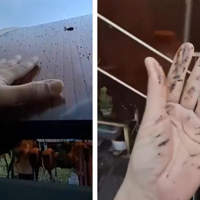 Chuva preta atinge cidade russa após ataques ucranianos contra refinaria no Mar Negro
